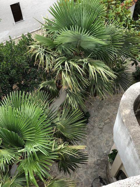 Apartment Feral Crikvenica